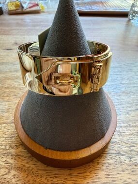 Latched Hinge Bangle Bracelet Spartina 449 with Bird Cage Charm NWT